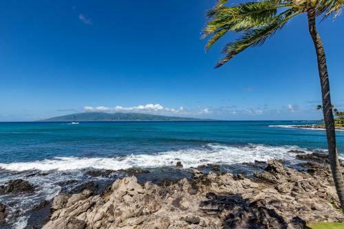 Napili Ocean Front House 43 Home