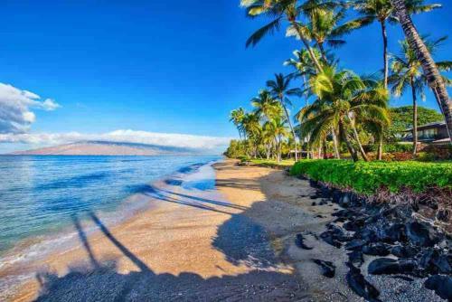 Apartamento Top Floor Ocean Views Condo