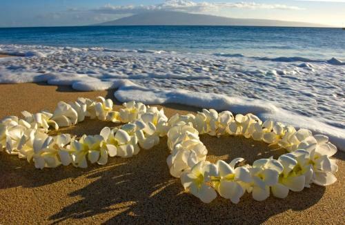 Apartamento Ocean Views 28th Floor - Close To Beach - Parking
