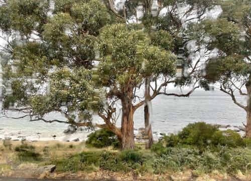 Apartamentos Beachside Taroona With Spa