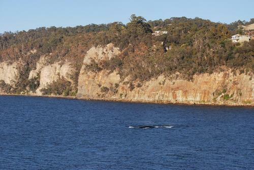 Apartamentos Beachside Taroona With Spa