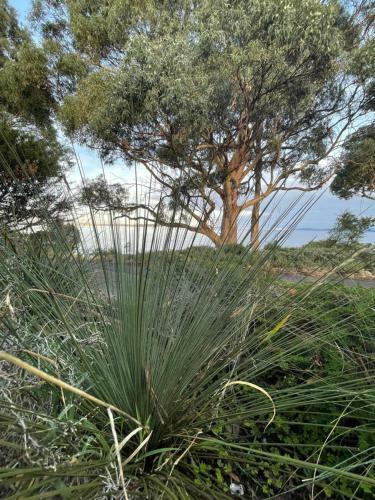 Apartamentos Beachside Taroona With Spa