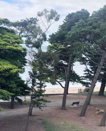 Apartamento C-scape Penthouse - Cowes Beach Front