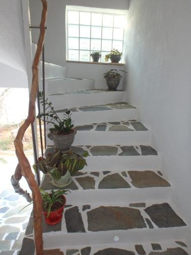 Hostal Art And Nature Apartment