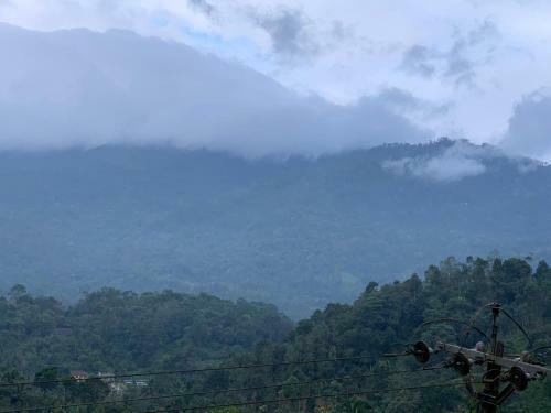 Villa Zalo Wayanad