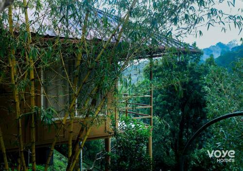 Hotel Voye Homes Oxyfarm Resorts
