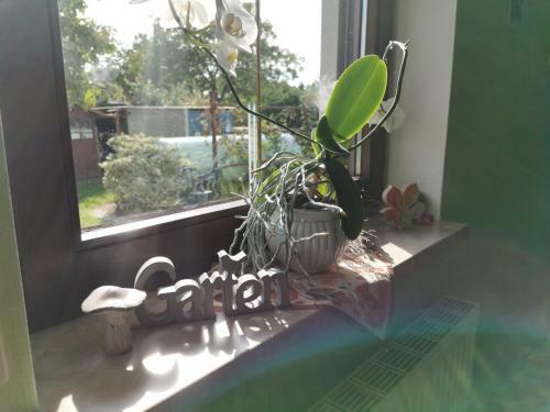 Apartamento Ferienwohnung Nordlicht