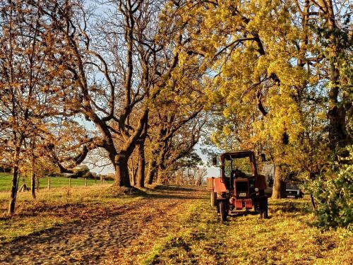 Sch�ferwagen Auf Dem Biogut-saalkow