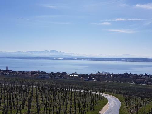 Apartamento Am Badischen Weinberg