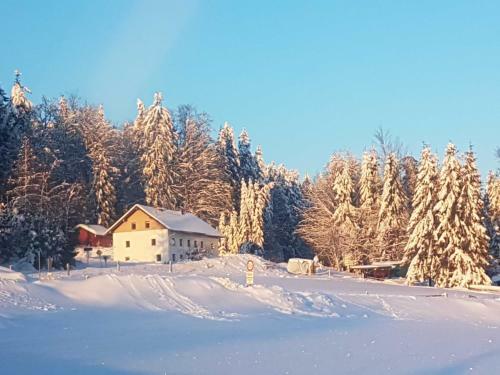 Apartamento Ferienwohnung Tannenstube