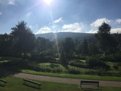 Apartamento Ferienwohnungen Haus Landmann
