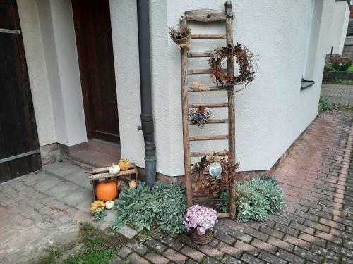 Apartamento Ferienwohnung -main- Ruheplatz Am Wasser