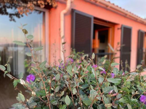 Villa Bougainville