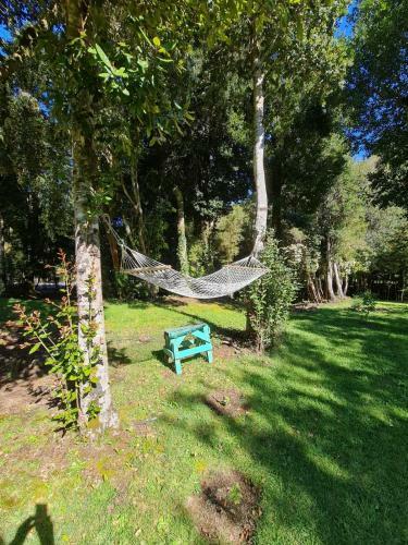The Forest House Cocham�