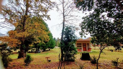Apartamento Pi�on House