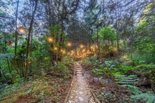 Caba�a Oculto Refugio De Bosque By Housy Host