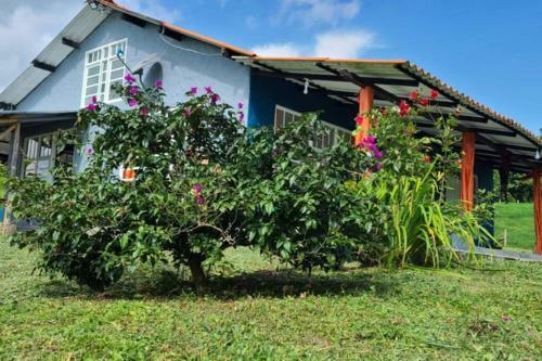 Hotel House La Llanura