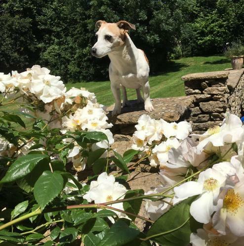 Hostal Great Ashley Farm B&B