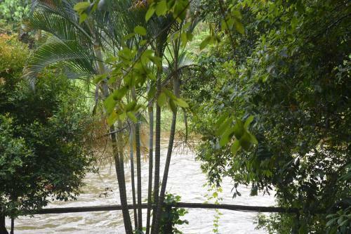 Ceylon River Camp By Realdeal