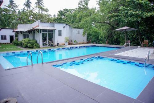 Hotel Blue Fox Holidays