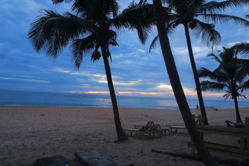 Hotel Shenora Beach Resort