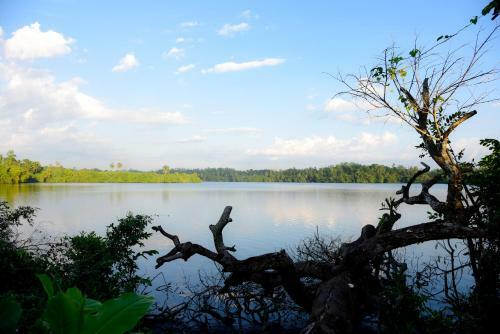 Lodge Shady Lake Resort
