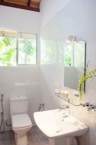 Hostal Alvas House