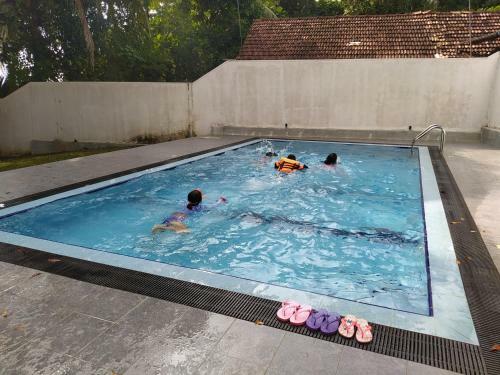 Hostal The Green Lagoon Villa