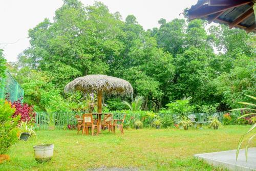 Lodge Serene Vista Bungalows