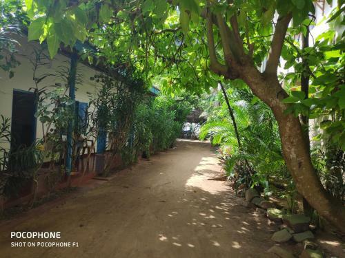 Hostal Summer Lanka Beach Side