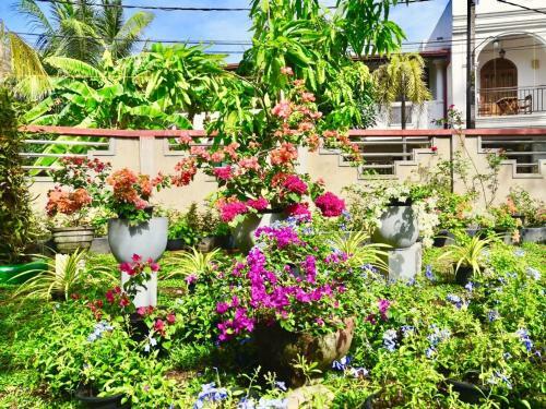 Apartamento Dolphin Villa