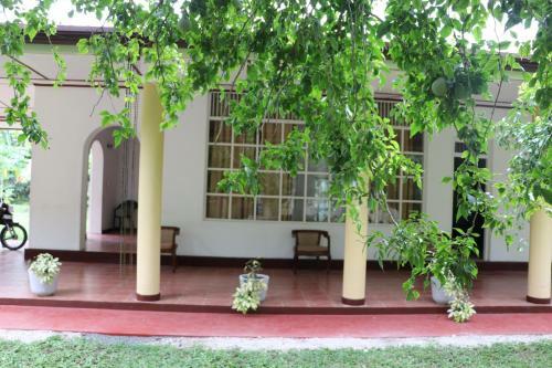 Agroturismo The Bunglow