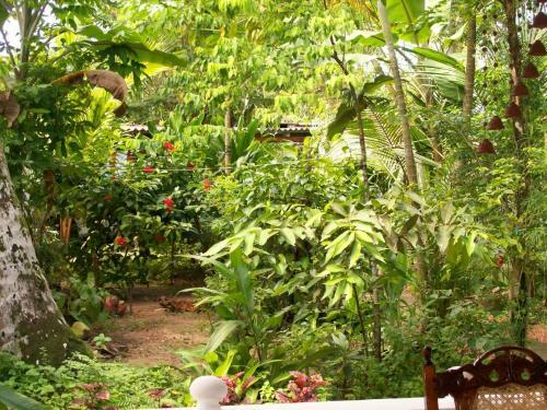 Hikkaduwa Holiday Home