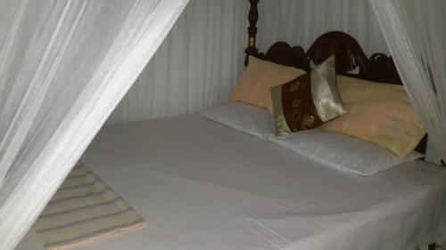 Hostal Dream Villa