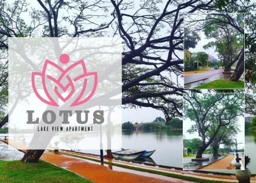 Lotus Lake View Apartment