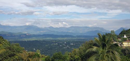 Albergue Hotel Kandy Jazz