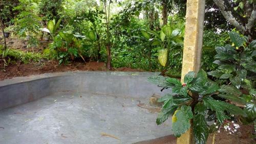 Hunnas View Home Stay