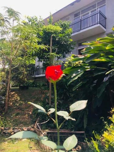 Hostal Kandy Hill Vilaa