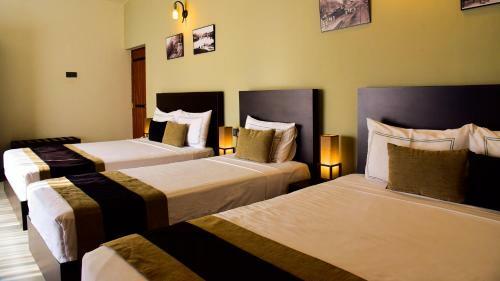 Hotel Pine Hill Residence