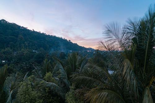 Lodge Sun Set Forest Villa