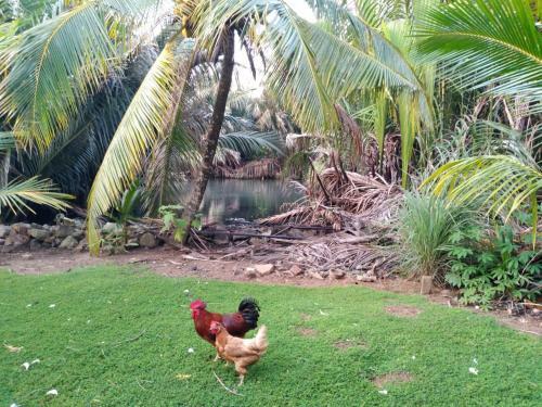 Agroturismo Nilwala River Corner