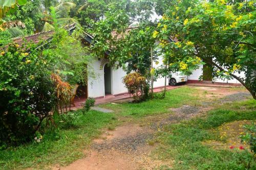 Apartamento Tropical Dream