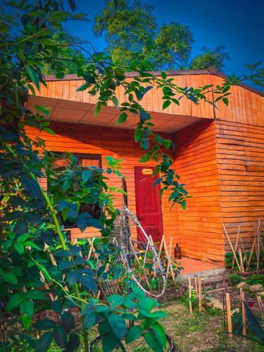 Hotel Golden Jungle House