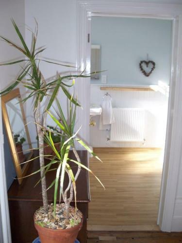 Broadstairs House Boutique B&B By The Sea