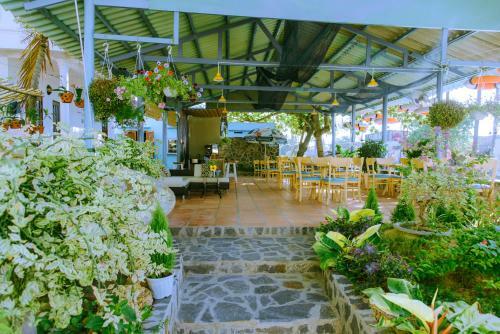 Hostal Bibo Guest House