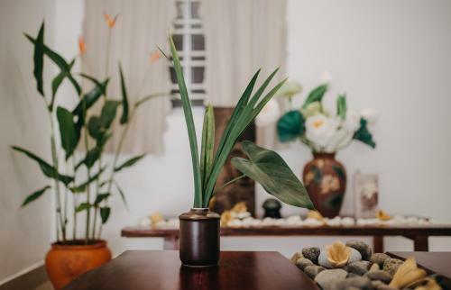 Bed & Breakfast T�m Homestay