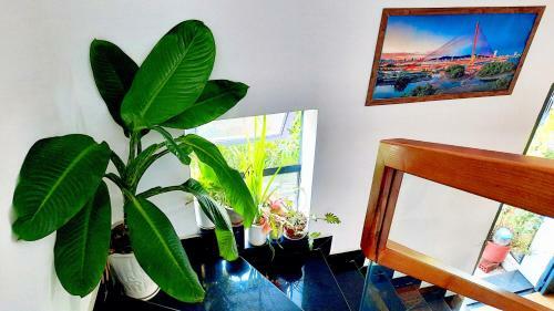 Hostal Sena Home 3*1*overlooking Danang Dragon Bridge