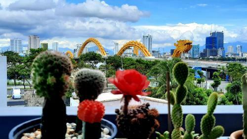 Hostal Sena Home 3*1*overlooking Danang Dragon Bridge