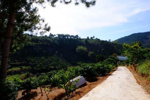 Agroturismo Ovi Coffee Farmstay ?� L?t