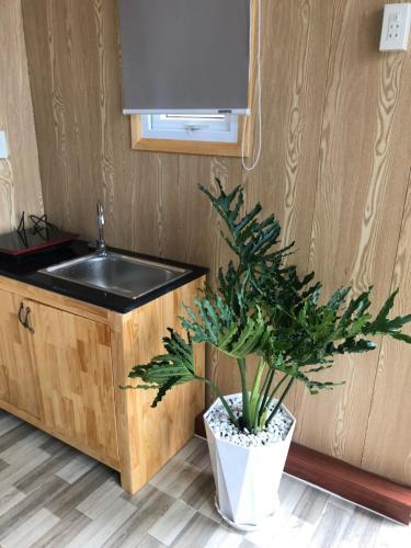 Hostal Gold&ruby House